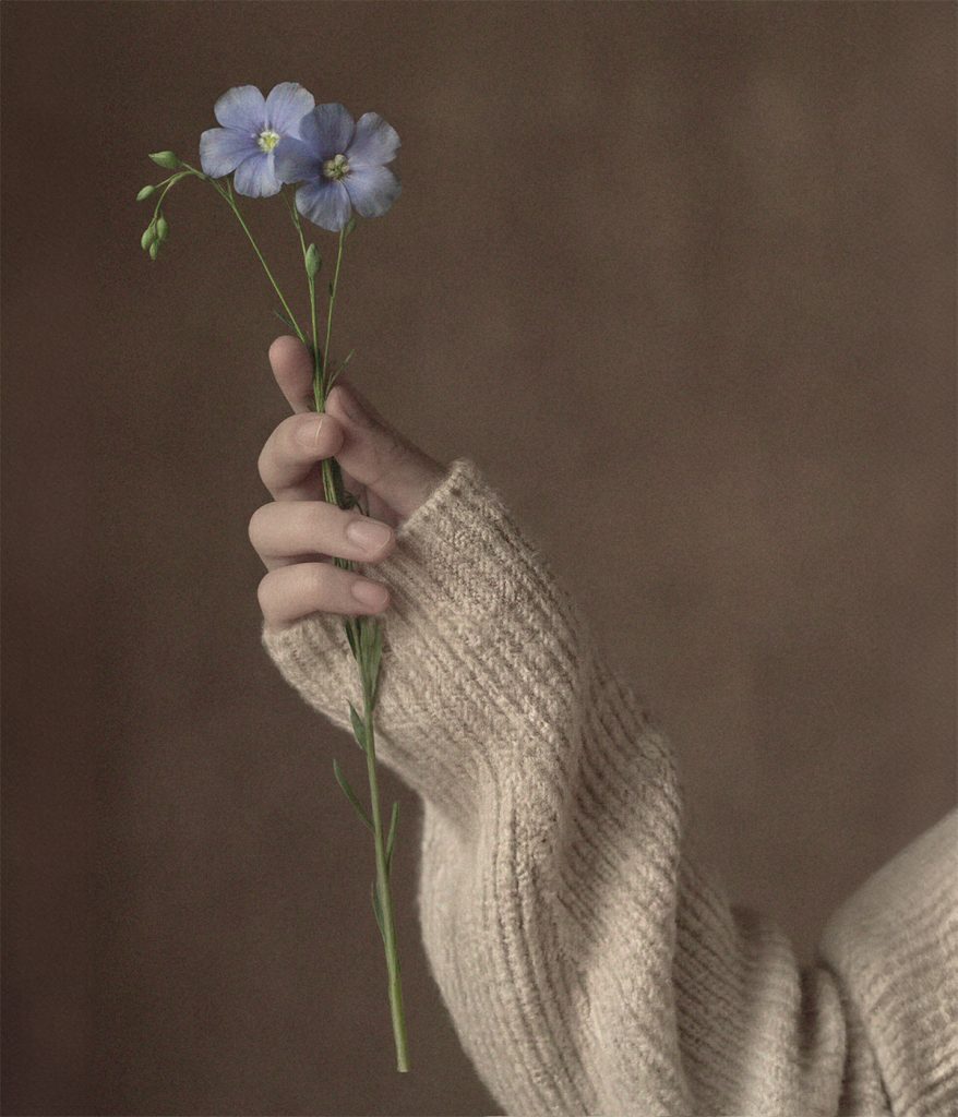 Mano sujetando una flor de lino, materia prima empleada en tejidos naturales para el descanso