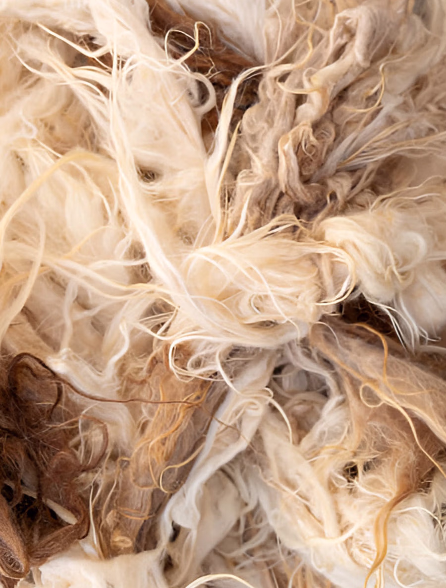 Imagen detalle de fibra animal cashmere.
