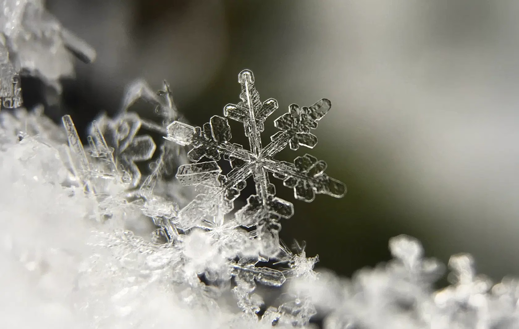 Imagen detalle de copo de nieve.