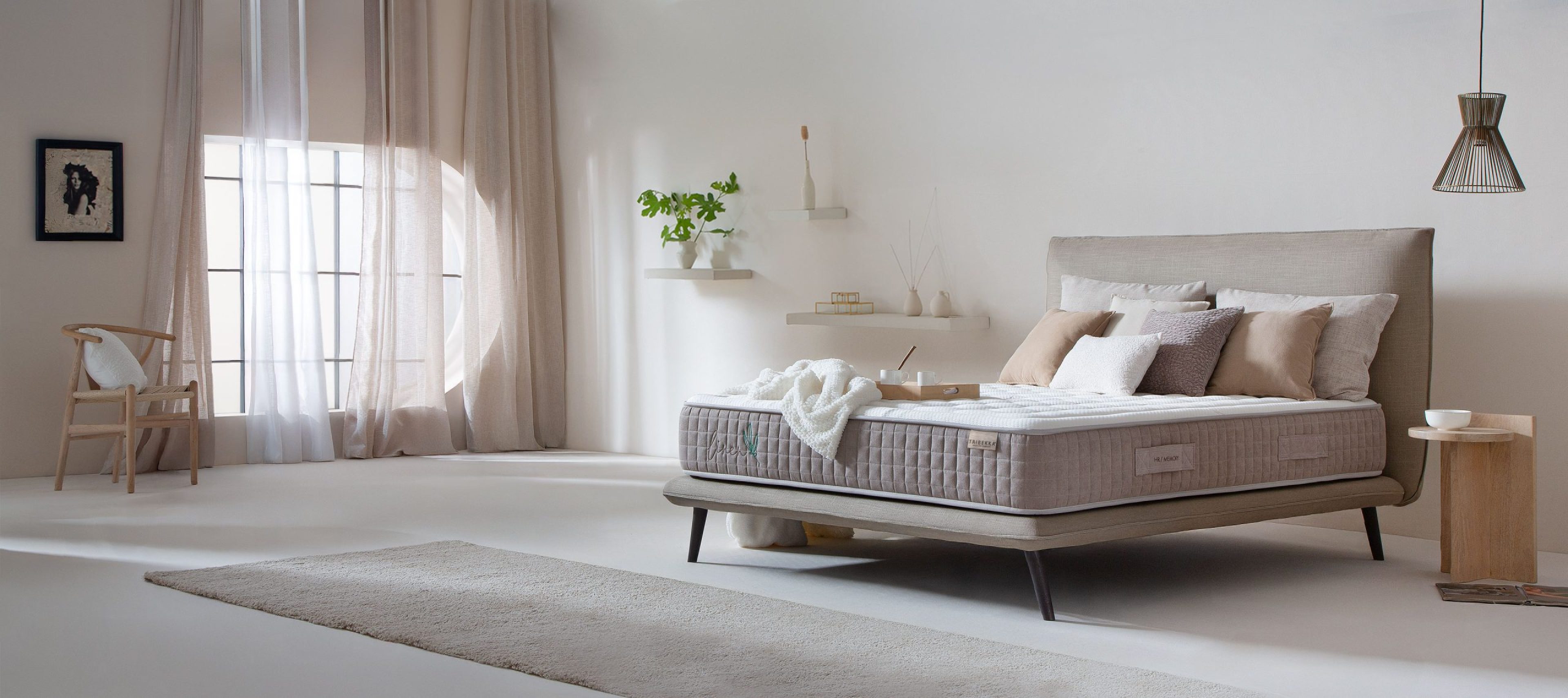 IMAGEN-PRINCIPAL-INICIO